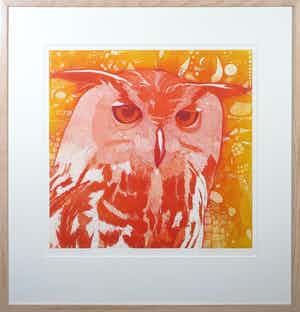 Toni de Klerk - Ets, Bubo bubo I - Ingelijst verkocht voor € 30!