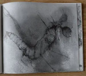 Buy Dirkje Kuik - aquarel/tekening Aram en de bende van de boomstam" + boek waarin tekening staat? Bid from 159!