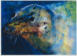 Maya Wildevuur - Zeefdruk, Zeehond - Ingelijst kopen? Bied vanaf 60!