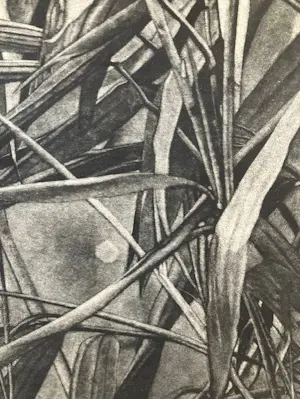 Bert Keller - Bamboe II kopen? Bied vanaf 600!