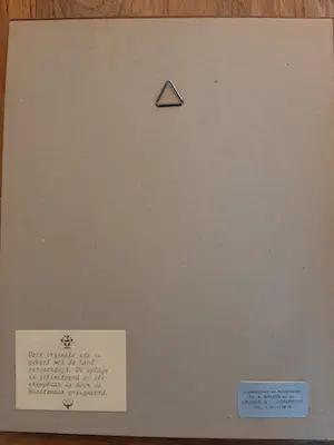 Anna Doedijns - Dordrecht kopen? Bied vanaf 60!