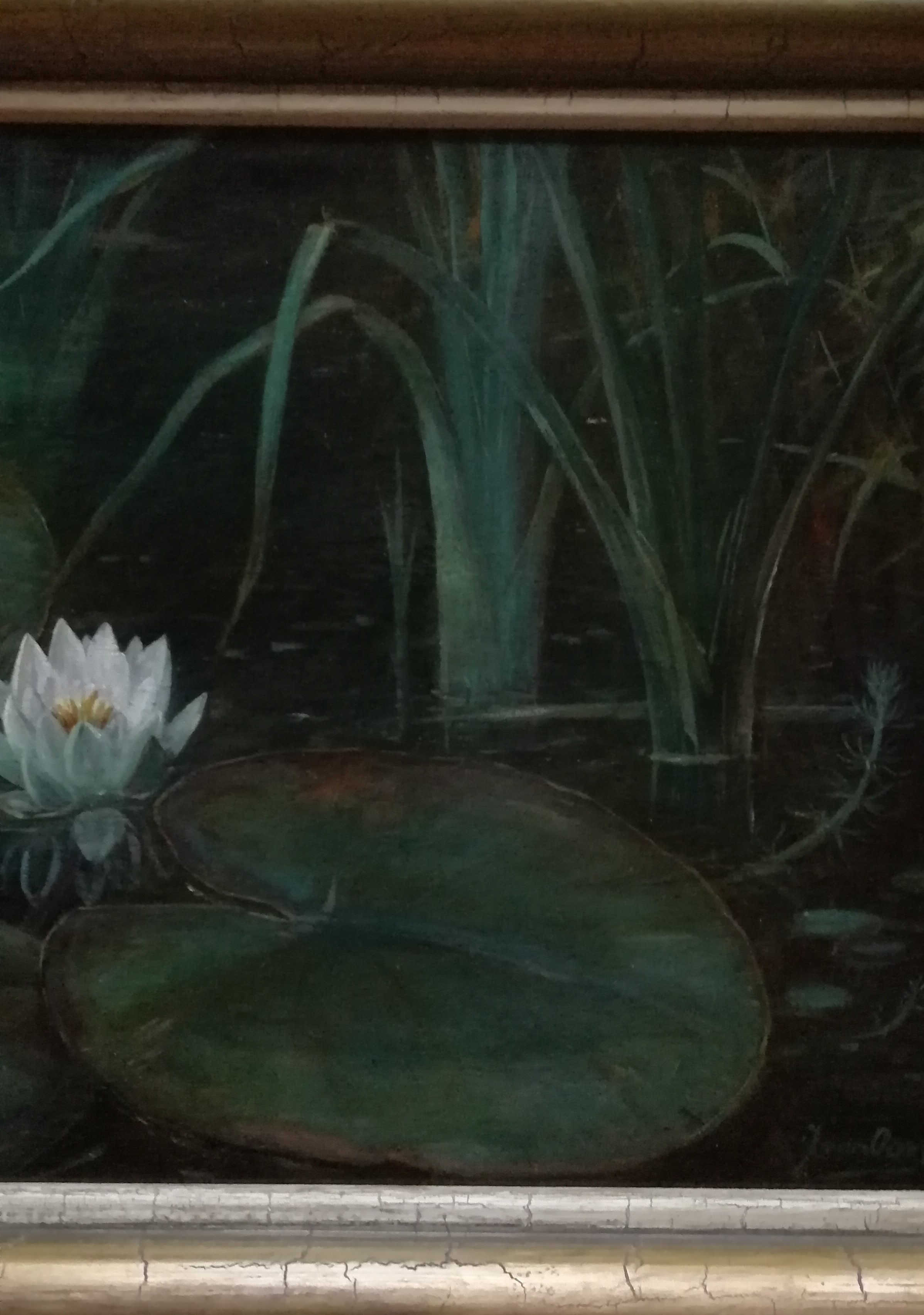 Jan van Oort - Kikker bij bloeiende waterlelie tussen het riet kopen? Bied vanaf 475!