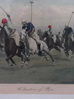 George Wright - Polo Paarden A Question of Pace kopen? Bied vanaf 90!