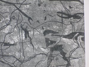 Wout van Heusden - Diepzeegebeuren - Ets kopen? Bied vanaf 40!