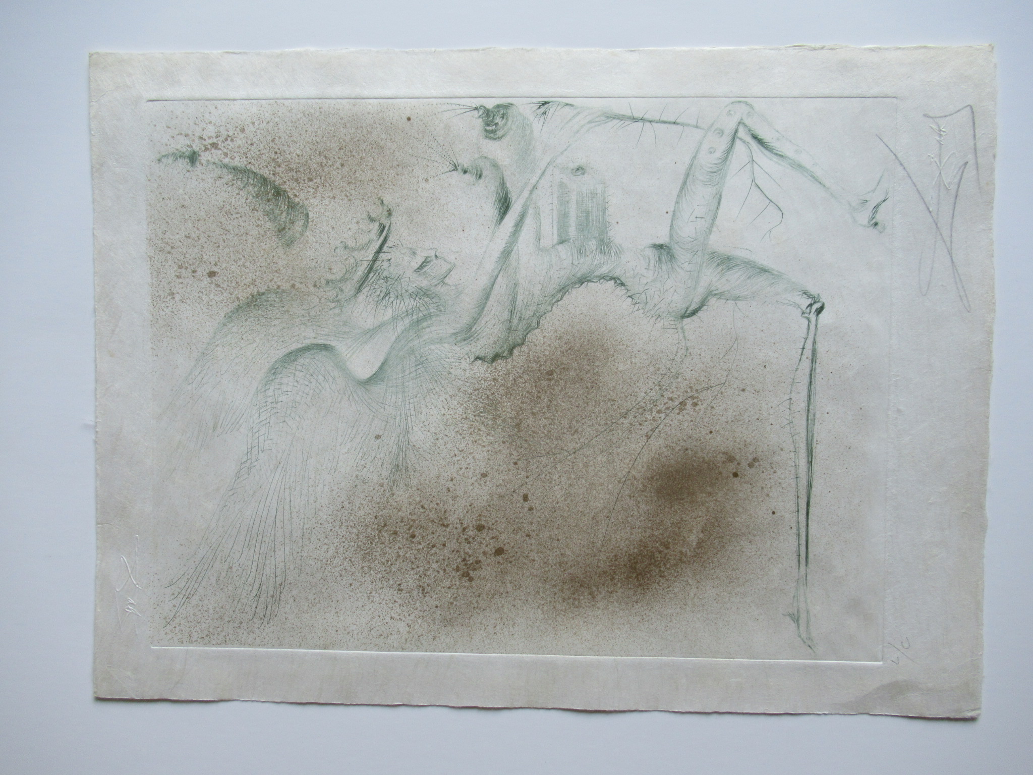 Niet of onleesbaar gesigneerd - Naar Dali’s le Demon Aile kopen? Bied vanaf 1!