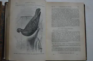 Antiquarisch Boek - Charles Darwin; The variation of animals and plants. In 2 delen compleet! kopen? Bied vanaf 150!