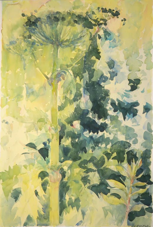 Henk Westein - Henk Westein: Aquarel, 2e dag Reino Zomer verkocht voor € 40!