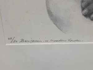 Aart van Dobbenburgh - Benjamin kopen? Bied vanaf 20!