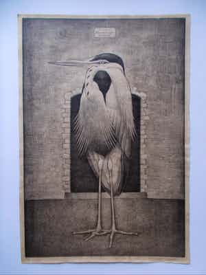 Jan Wittenberg - Blauwe Reiger / Zuid-Amerika verkocht voor € 230!