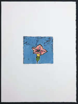 Niet of onleesbaar gesigneerd - Kleurenets, Blueslay kopen? Bied vanaf 1!