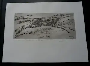 David Granaat - Ets: paarden (Mustangs) kopen? Bied vanaf 49!