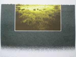 Piet Fioole - Litho "Groote Peel I" kopen? Bied vanaf 45!