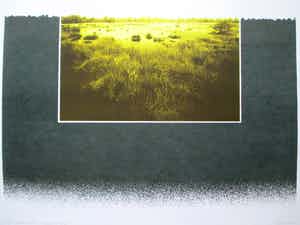 Piet Fioole - Litho "Groote Peel I" verkocht voor € 45!