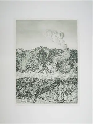 Rins Heidema - Ets, Aeroliet kopen? Bied vanaf 1!