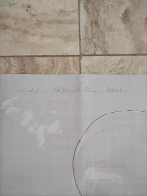 Panamarenko - papaver kopen? Bied vanaf 1!