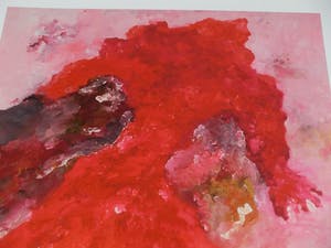 Armando - Rotes Gewand (Rood gewaad), Giclee op katoenpapier. Sublieme kleuren! kopen? Bied vanaf 100!