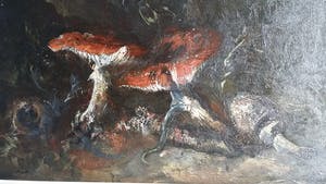 Theo Goedvriend - Theo Goedvriend - Paddestoelen in het bos - kopen? Bied vanaf 250!