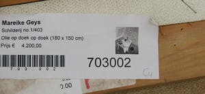 Mareike Geys - Olieverf op doek, Schilderij no. 1/403 - Ingelijst (Zeer groot) kopen? Bied vanaf 1!