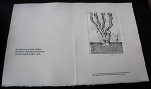 Frank Lodeizen - Ets: Vreugden en Verschikkingen... kopen? Bied vanaf 50!