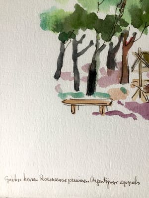 Theo van der Horst - Aquarel, Ingelijst kopen? Bied vanaf 40!