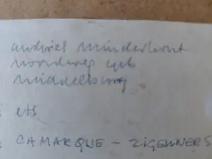 Andries Minderhout - Camarque - Zigeuners kopen? Bied vanaf 25!