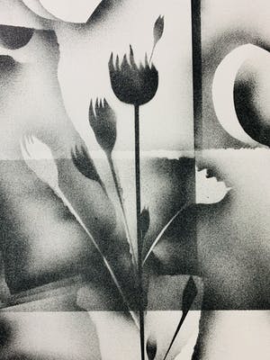 Gislain Dussart - Tulips kopen? Bied vanaf 10!