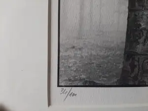 Ralph Janowski - 3 werken, van Ralph Janowski, Boom in de ochtend mist nieuw ingelijst kopen? Bied vanaf 100!