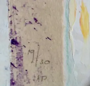 Peter Schenk - collage en acryl op zeefdruk (unica) kopen? Bied vanaf 50!