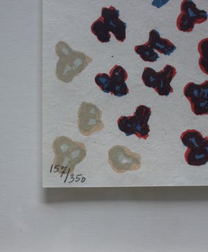 Klaas Gubbels - litho: knielen op een bed violen - 2007 (prachtige houten lijst) kopen? Bied vanaf 225!