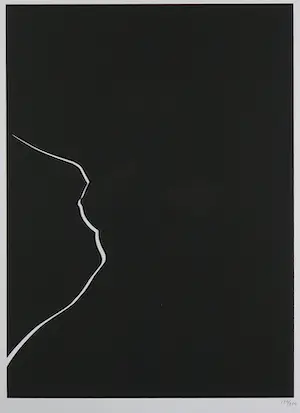 Harry van Kuyk - Zeefdruk uit het portfolio Grafinu - Ingelijst kopen? Bied vanaf 50!