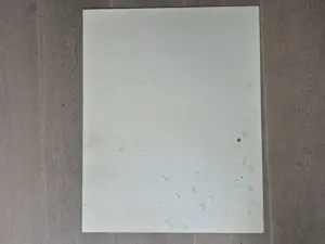 Willem Witsen - Ets E/A - vrouw bij appelboom, gesigneerd r.o. kopen? Bied vanaf 225!