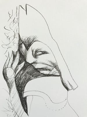 Hugo Claus - Fraaie lithografie - Oplage 100 - Gesigneerd - 1978 kopen? Bied vanaf 75!