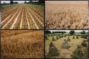 Paul Huf - C-print, Provence - Ingelijst (Groot) kopen? Bied vanaf 1!