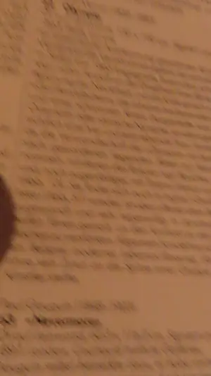 Diverse kunstenaars - Der Akt in der Malerei Meisterwerke in Gross formaat kopen? Bied vanaf 35!