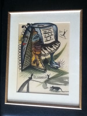 Frank Maieu - Het Wonderkind kopen? Bied vanaf 495!