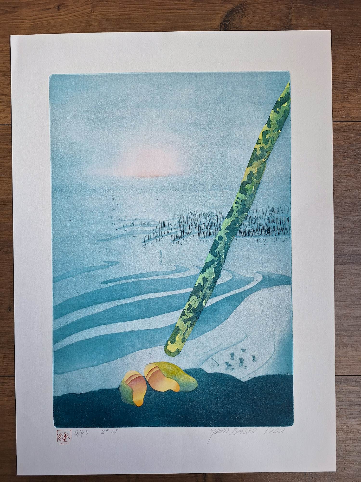 Sjoerd Bakker - Onbekend kopen? Bied vanaf 40!