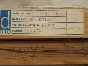 Petr Pavlištík - Ingelijst olieverf op doek, Ve vétru (“In de wind”) – 90 x 76 cm kopen? Bied vanaf 200!