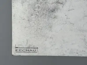 Eugène Eechaut - Set van 4 werken kopen? Bied vanaf 70!