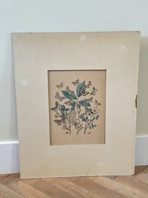 Rie Cramer - botanische vlinders prent kopen? Bied vanaf 25!