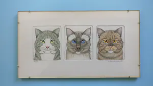 Ella van Schaik - Drie koppen van katten kopen? Bied vanaf 30!