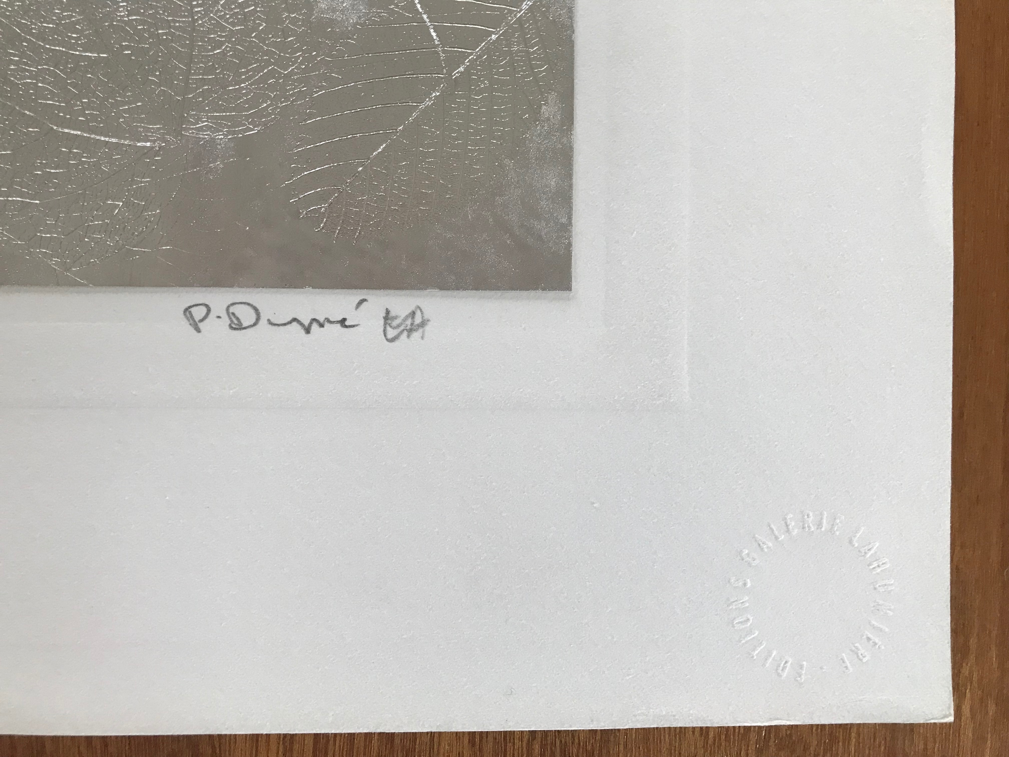 Patrick Dupre - Metaalgravure op papier - Gesigneerd - EA - Oplage 185 kopen? Bied vanaf 75!