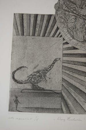 Jan Vaatstra - Ets - " Wrong Evolution " kopen? Bied vanaf 40!