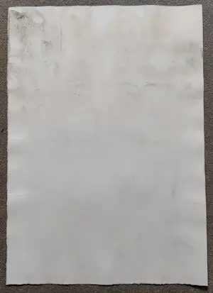 Kees van Bohemen - Portret vrouw kopen? Bied vanaf 50!
