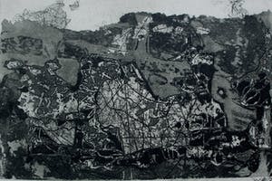 Wout van Heusden - Ets - 1977 kopen? Bied vanaf 55!