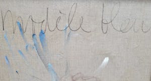 Arien Winkel - Modèle Bleu kopen? Bied vanaf 200!