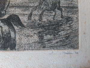 Enno Brokke - Twee paarden kopen? Bied vanaf 35!