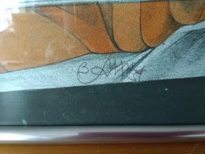 Bruno Bruni - Il letto rigato kopen? Bied vanaf 70!