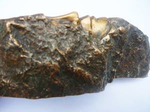 Brons (Onbekend) - Decoratieve sculptuur kopen? Bied vanaf 45!