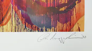 Christoph NAPP-ZINN - 'Appropriating Twombly (Roses II)' kopen? Bied vanaf 28!