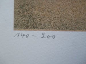 Niet of onleesbaar gesigneerd - Litho kopen? Bied vanaf 10!